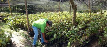 Promoción de redes de conocimiento y acciones de desarrollo sostenible ante el cambio climático, en comunidades rurales del municipio de Choloma, Honduras. Foto: Manos Unidas