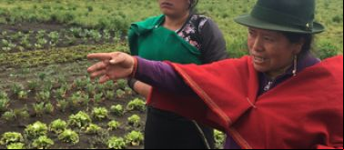 Ecuador - Convenio Cooperación Española AECID Manos Unidas - Foto Ana Pérez