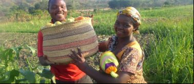 Programa de desarrollo socioeconómico de mejora de producción agropecuaria, impulso de la comercialización y fortalecimiento asociativo en Tanzania