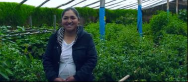 Empoderamiento de la mujer. Mujeres emprendedoras