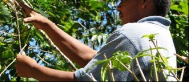 Agricultura ecológica y sostenibilidad