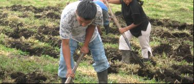 Soberanía alimentaria: fortalecimiento cultural y organizativo de pueblos indígenas