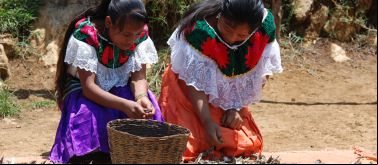 Desarrollo integral de comunidades indígenas 
