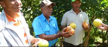 Promoción de agroecología en comunidades con escasos recursos y alto desempleo. Manos Unidas Valencia