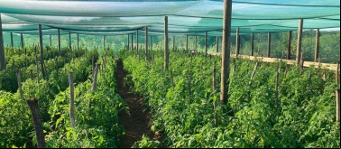 Mozambique. Foto: Manos Unidas