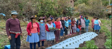 Comunidades alto andinas de Cusco, Perú. Foto: Manos Unidas