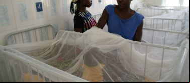 Malaria y tuberculosis