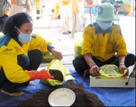Personas envasando abono orgánico en Phnom Penh, Camboya