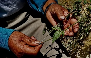 Mujer y cambio climático, en defensa de la tierra. Foto:Manos Unidas en Ecuador