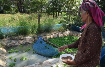 Viejos y nuevos retos de las familias campesinas en Camboya - Foto Patricia Garrido - Manos Unidas