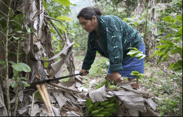 Día Internacional de las Mujeres Rurales 2022 (15 de octubre)