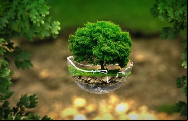 Día Mundial del Medio Ambiente 2021 (Foto de thommas68)