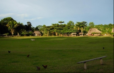 Violencia y deforestación en la Amazonía peruana - Instituto del Bien Común - Manos Unidas
