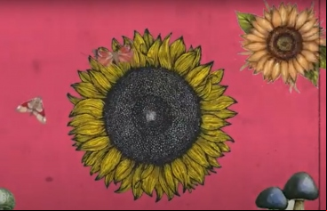 Ganadores de Clipmetrajes, categoría General: vídeos que intentan cambiar actitudes