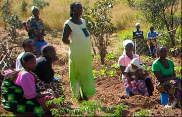 Huertos comunitarios en Kilela Balanda