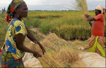 Chad - Foto Belacd–Cáritas de Lai