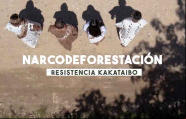 Manos Unidas ONG - El narcotráfico y la deforestación ponen en jaque a los Kakataibo
