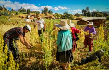 Manos Unidas - Dos programas para impulsar la calidad de vida en Perú y Ecuador - Imagen: CEDEPAS Norte
