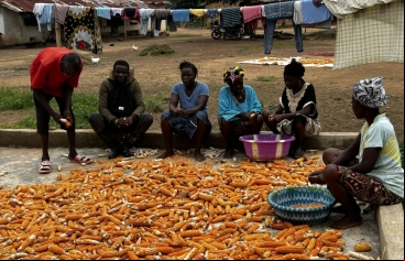 16 y 17 de octubre; Día de la Alimentación y de la Erra la Pobreza. Fotografía: Sierra Leone Chesterton Centre / Manos Unidasdicación de