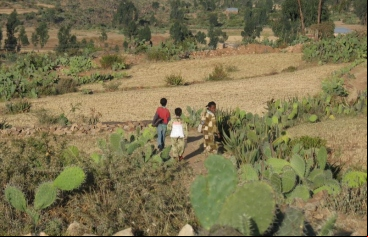 Día contra la desertificación y la Sequía. Foto: Marta Carreño en Etiopía