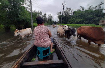 Inundaciones en el estado de Assam. Foto: Manos Unidas