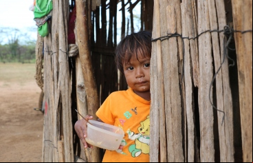 Niño indígena wuayú. Foto: Manos Unidas/María José Pérez