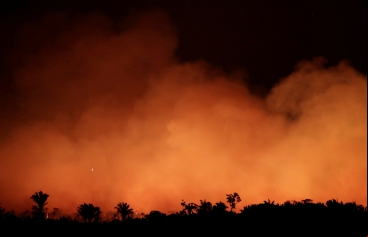 Preocupación ante la oleada de incendios en la Amazonía. Foto: REUTERS