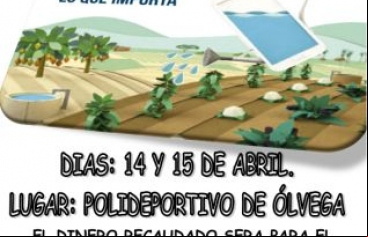 II Campeonato de España rugby en silla de ruedas. Olvega (Soria)