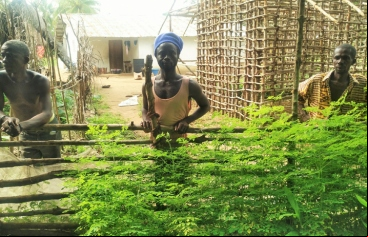 Sierra Leona. Foto: Salesianos