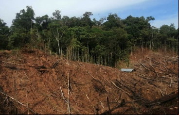 Narcotráfico en Amazonía Perú - Manos Unidas - Foto Instituto del Bien Común