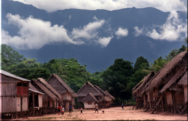 Kakataibo, Perú