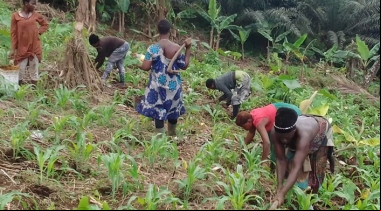 Mujeres agrícolas desplazadas en Camerún. Fotografía: Manos Unidas