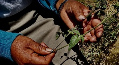Mujer y cambio climático, en defensa de la tierra. Foto:Manos Unidas en Ecuador