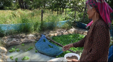 Viejos y nuevos retos de las familias campesinas en Camboya - Foto Patricia Garrido - Manos Unidas