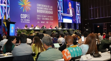 Conferencia de las Naciones Unidas sobre Biodiversidad. Fotografía: UN Biodiversity | COP16