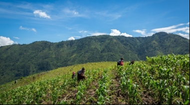Manos Unidas ONG - Día Mundial del Medio Ambiente 2024 (5 de junio) - Imagen: AFOPADI - Guatemala