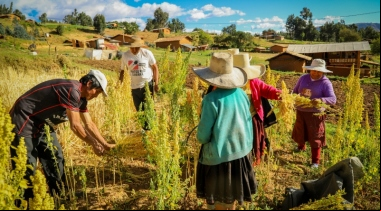 Manos Unidas - Dos programas para impulsar la calidad de vida en Perú y Ecuador - Imagen: CEDEPAS Norte