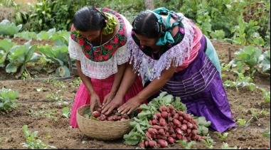 Un mayor  a los recursos productivos por parte de las mujeres. Fotografía: Javier Mármol | Manos Unidas