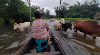 Inundaciones en el estado de Assam. Foto: Manos Unidas