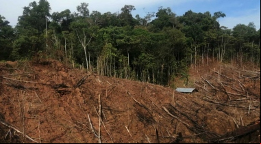 Narcotráfico en Amazonía Perú - Manos Unidas - Foto Instituto del Bien Común