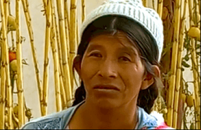 Celia Mamani, beneficiaria del proyecto de ACLO y Manos Unidas en Bolivia