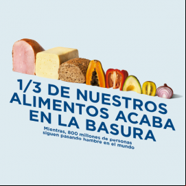 1/3 de nuestros alimentos acaba en la basura