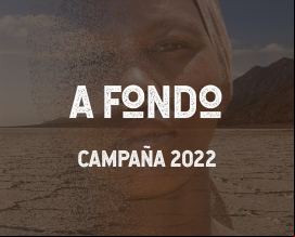 Materiales Campaña 2022 - Informe A Fondo