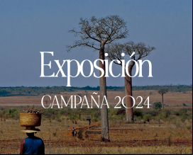 Materiales Campaña 2024 - Exposición
