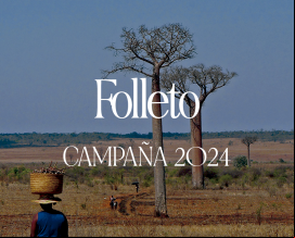 Materiales Campaña 2024 - Folleto Informativo