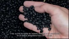 Agroecología y resiliencia de los sistemas alimentarios