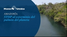 Amazonía - STOP al exterminio del pulmón del planeta